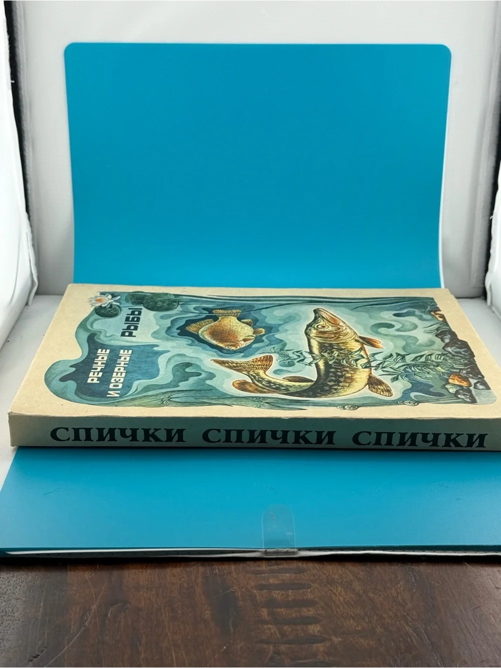 Vintage 1983 USSR Soviet Fish 28 Matchbox Collector Set